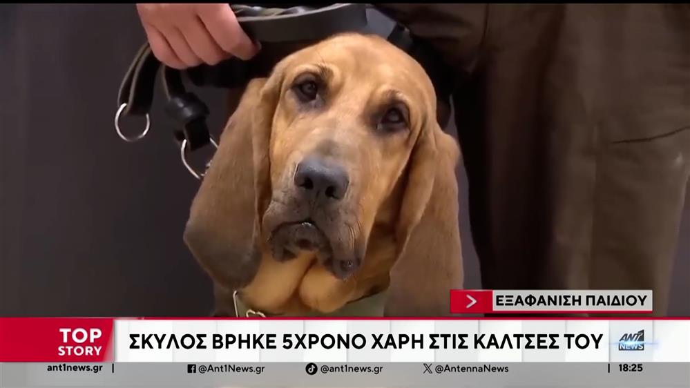 Συγκινητική διάσωση 5χρονου στην έρημο της Αριζόνα -Τον βρήκε αστυνομικός σκύλος μυρίζοντας τις κάλτσες του

