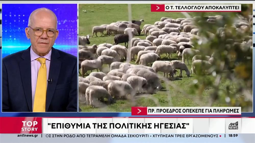 ΟΠΕΚΕΠΕ - Πρώην πρόεδρος για πληρωμές: Ήταν επιθυμία της πολιτικής ηγεσίας