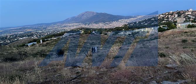 Δευτέρα 23 Ιουνίου: Το πρώτο web δελτίο με τις σημαντικότερες ειδήσεις της ημέρας